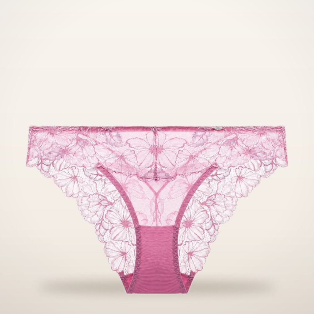 Gradient Floral Lace Sheer Mesh Briefs | Velvetella