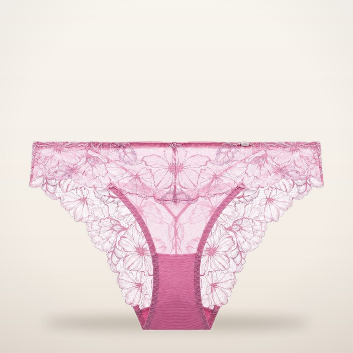 Gradient Floral Lace Sheer Mesh Briefs | Velvetella