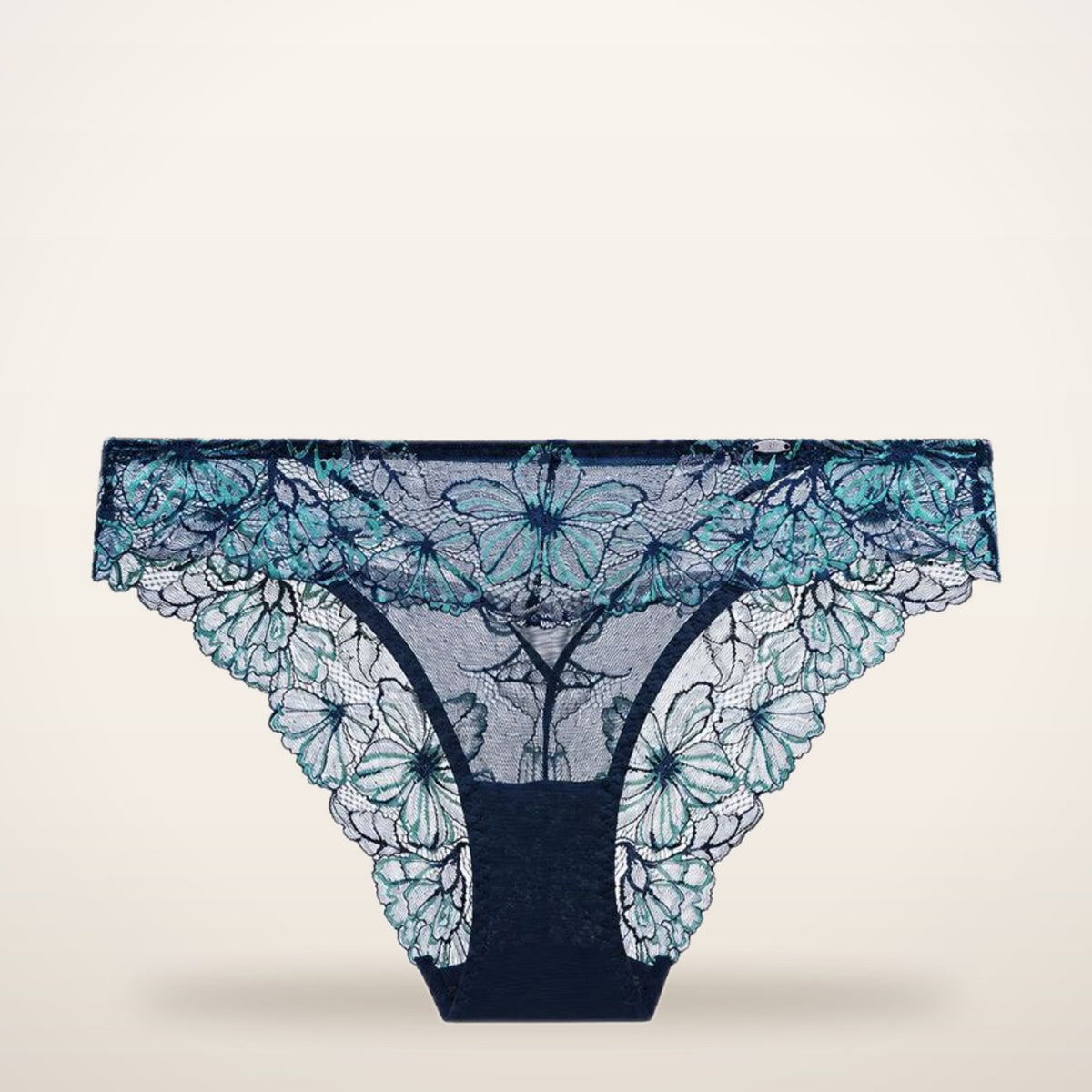 Gradient Floral Lace Sheer Mesh Briefs | Velvetella
