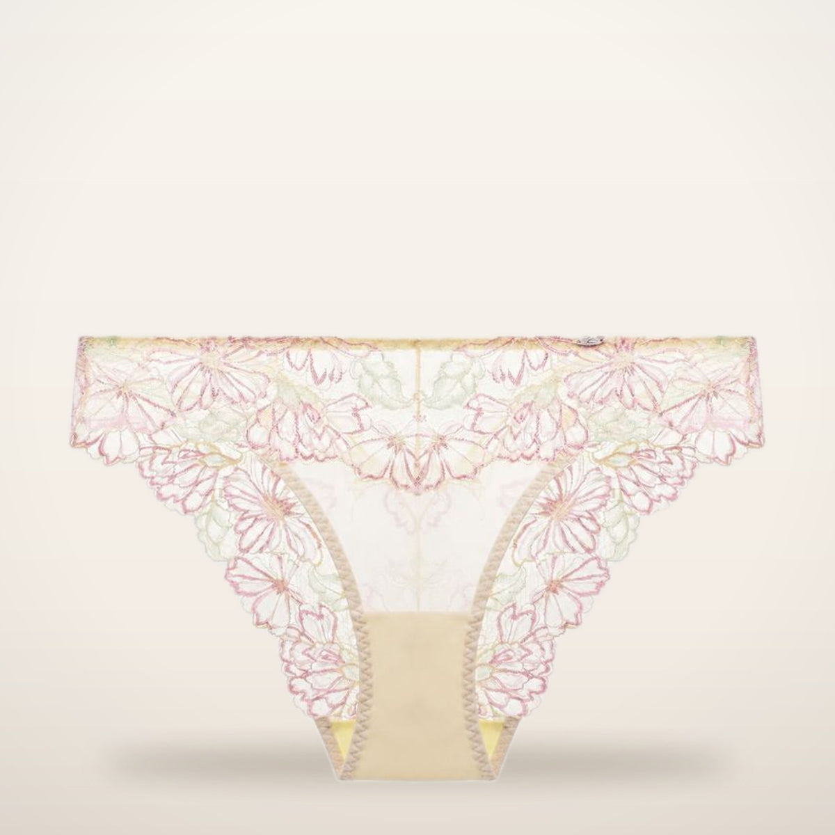 Gradient Floral Lace Sheer Mesh Briefs | Velvetella