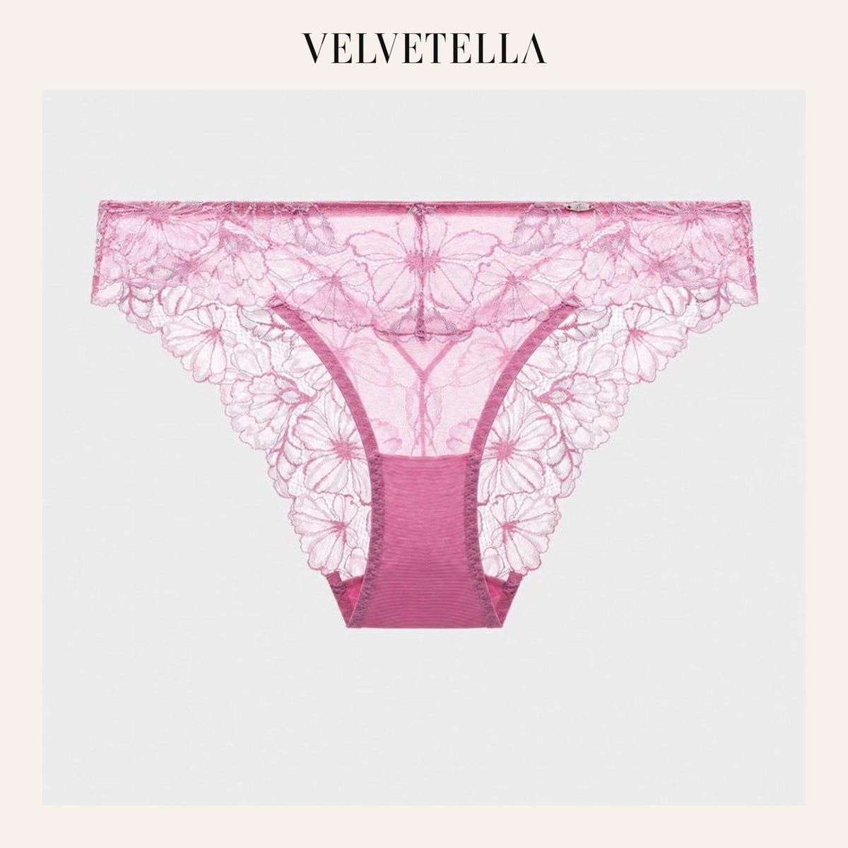 Gradient Floral Lace Sheer Mesh Briefs | Velvetella