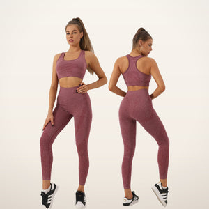 Seamless Crop Top & Legging Set | Velvetella